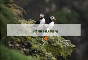 八字喜用神忌神免費查詢