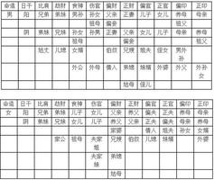配偶宫伏吟日支，地支同柱，二婚之兆显。