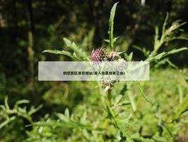 鶴壁新區算卦地址(算人命莫如算己命)