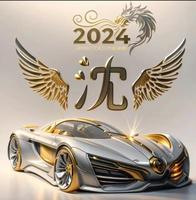 沈氏十四制式，神秘神算傳承。