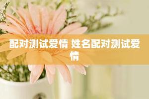 发现专属恋爱伴侣，共谱美好爱情篇章