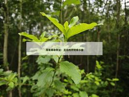 周易算命财运：丑戌刑开财库小富