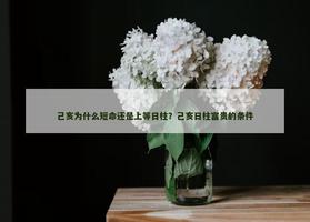 己亥為什麼短命還是上等日柱？己亥日柱富貴的條件