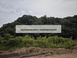 年柱正官坐食神是代表什麼？食神在四柱的意義和作用