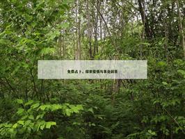 免費占卜，探索愛情與事業前景