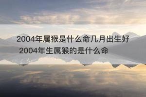 04年出生命好运好