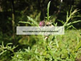 生辰八字相配的(生辰八字不知道几点出生的怎么办)