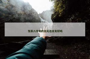 生辰八字中的日元在日支好嗎