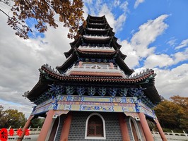 注定成為剩男的八字特點有什麼