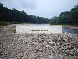 八字看學歷層次與專業方向