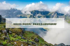 辛卯日是上等日柱吗？辛卯日柱怎么避免阴差阳错？