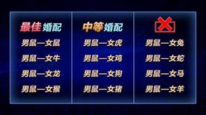 生肖鼠爱情佳缘：鼠鼠情深，最佳配对！