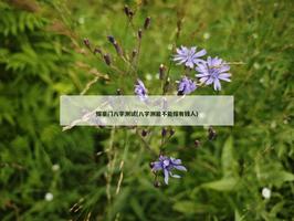 嫁豪门八字测试(八字测能不能嫁有钱人)