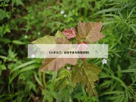 《八字入門：日柱干支與性格初探》