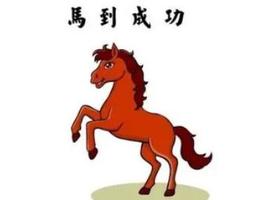 屬馬子時男優缺點