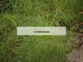八字命理揭示财运走向