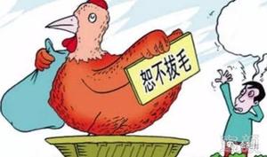 面相顯吝嗇，天生鐵公雞，一毛不拔命。