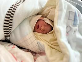 臘月寶寶性格特點分析