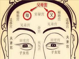 父母兄弟宮無主星，另一半出身貧寒。