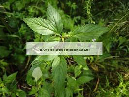 男八字帶掃帚(命裡帶了鐵掃帚的男人怎麼樣)