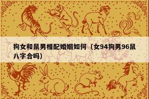 属狗属鼠情缘佳，爱情观相匹配