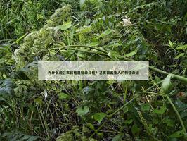 為什麼說己亥日柱是短命日柱？己亥日出生人的性格命運