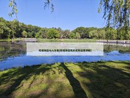 旺相休囚與八字表(旺相休囚死的實際運用講解)