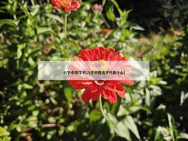 八字中雙戊子(八字中雙戊子代表什麼)