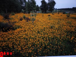 應對算命先生說我有兩段婚姻實證分析與建議