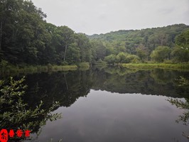 七殺格的命運分析