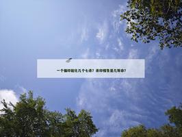 一个偏印能化几个七杀？杀印相生是几等命？