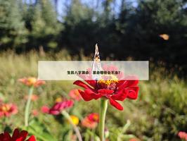 算命知識：算命哪些會不准？