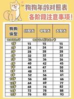 狗年小年出生：命運與性格揭秘