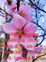 三月份哪些时辰出生桃花盛