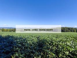 财运不佳，八字预示：揭秘财富之路的障碍