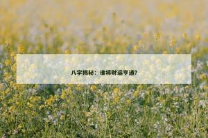 八字揭秘：谁将财运亨通？