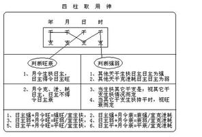 洞察旺衰奥秘