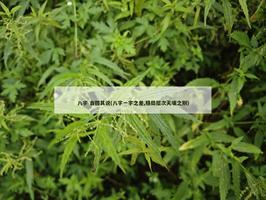 八字 自圓其說(八字一字之差,格局層次天壤之別)