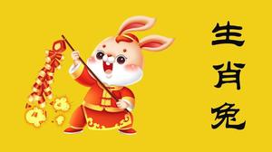 下半年生肖兔健康大预警：警惕潜在风险