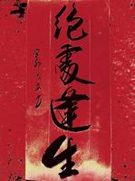 逆境转机，破茧重生