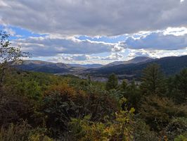 八字命理当中身弱的人如何看命运