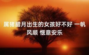 屬豬臘月女孩，一生順遂樂逍遙