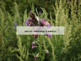 免費八字另一半算命(周易批八字 免費測八字)