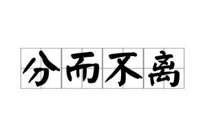 “分體卻連心：揭秘分而不離的神秘命理現象”