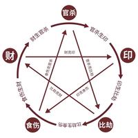 命理十神變動解析