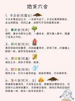 八字中六合的運用技巧