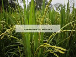 八字純陰是什麼時候生的？純陰八字的查法