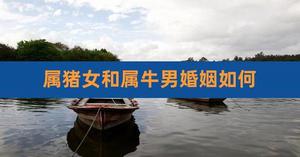 猪牛搭配婚姻，爱情命运何去何从？