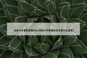 女命八字裡的官指什麼(生辰八字裡面的命官是什麼意思)