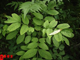 八字怎样选择出合适的婚姻对象